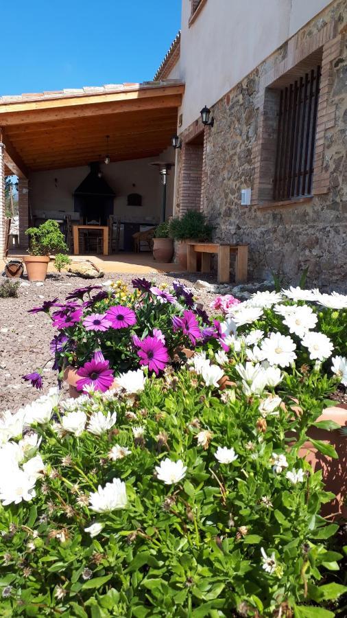 La Masia De Montpedros Peralada Kültér fotó