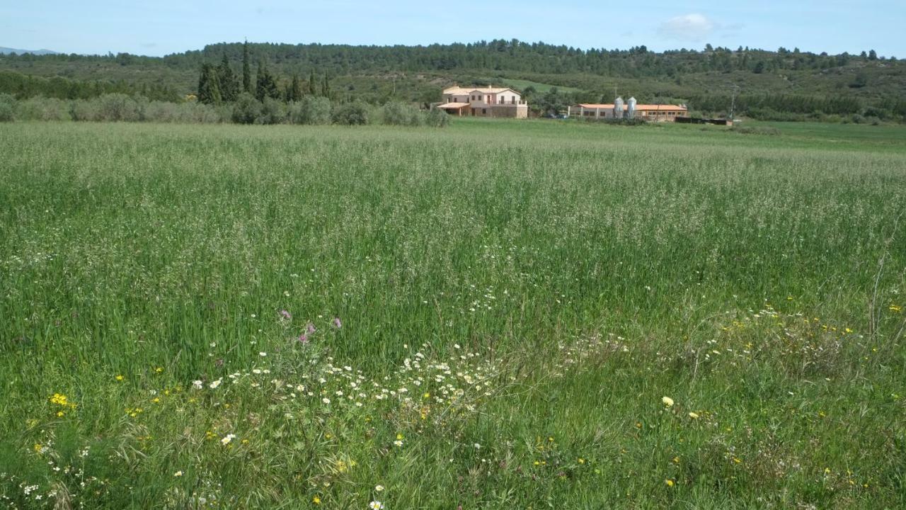 La Masia De Montpedros Peralada Kültér fotó